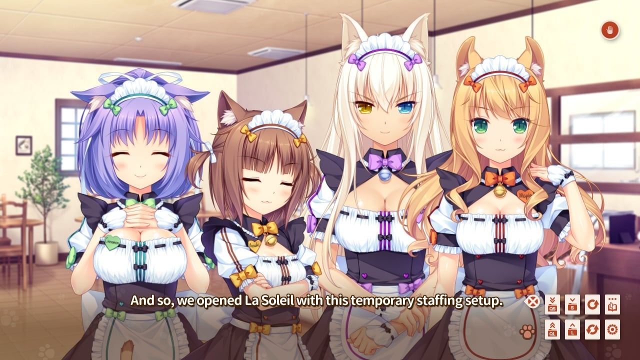 猫娘乐园2