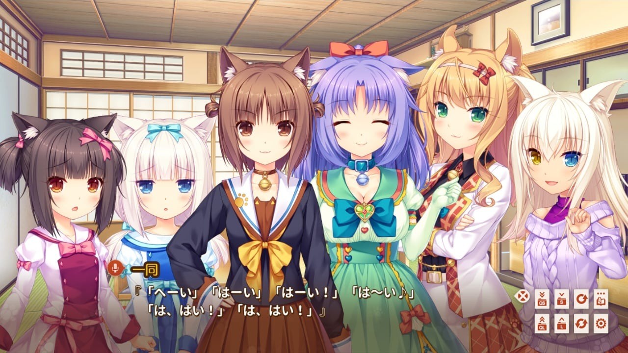 猫娘乐园Extra