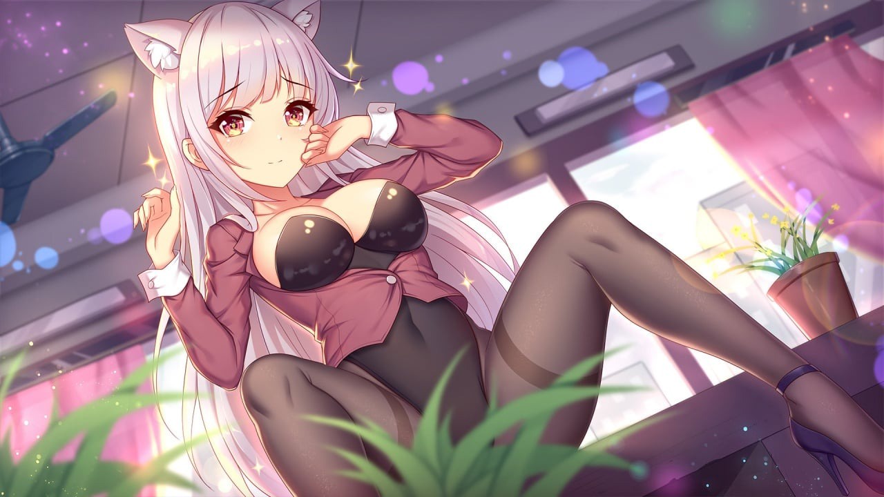 漂亮猫娘