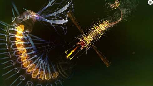 Screenshot 6