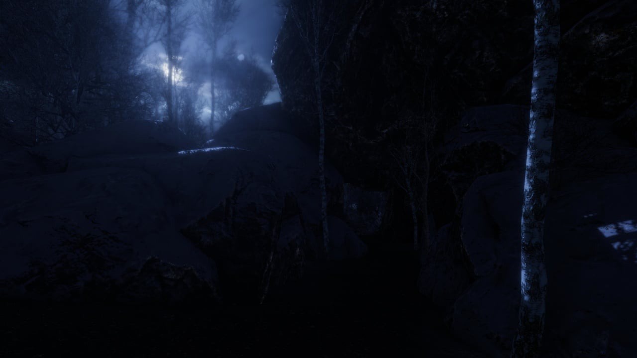 The Forgotten