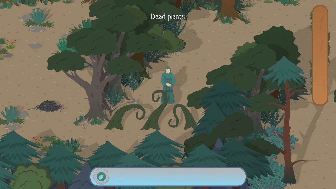 Druid