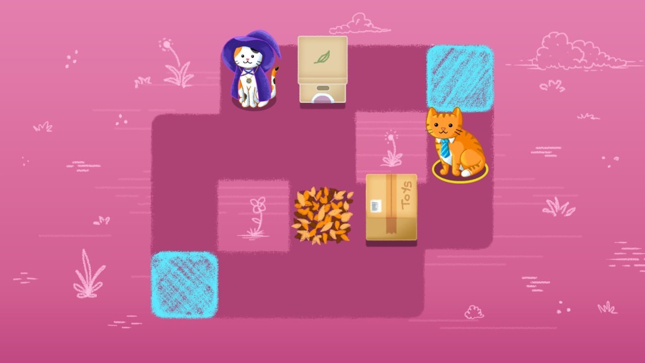 猫咪爱盒子