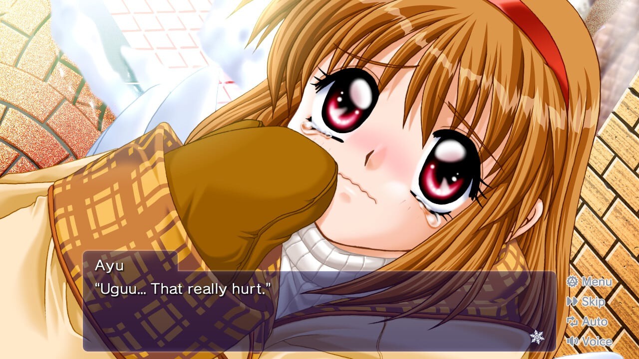 Kanon Standard Edition