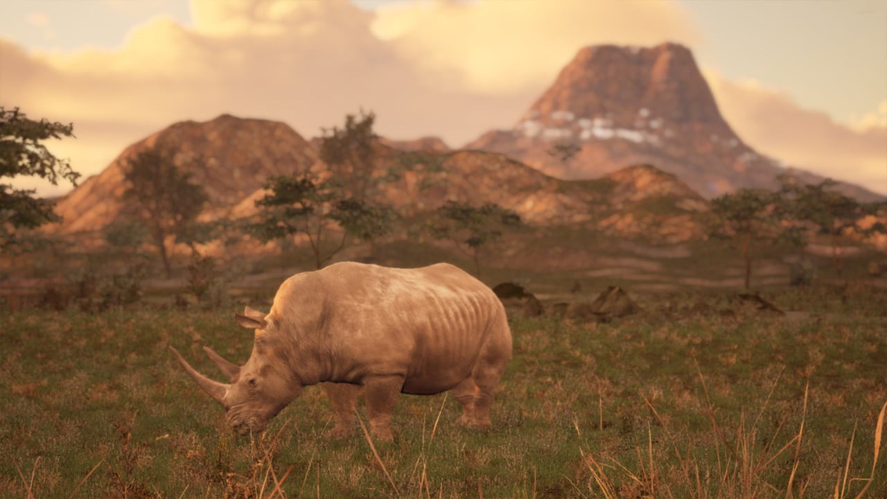 Animalia Survival