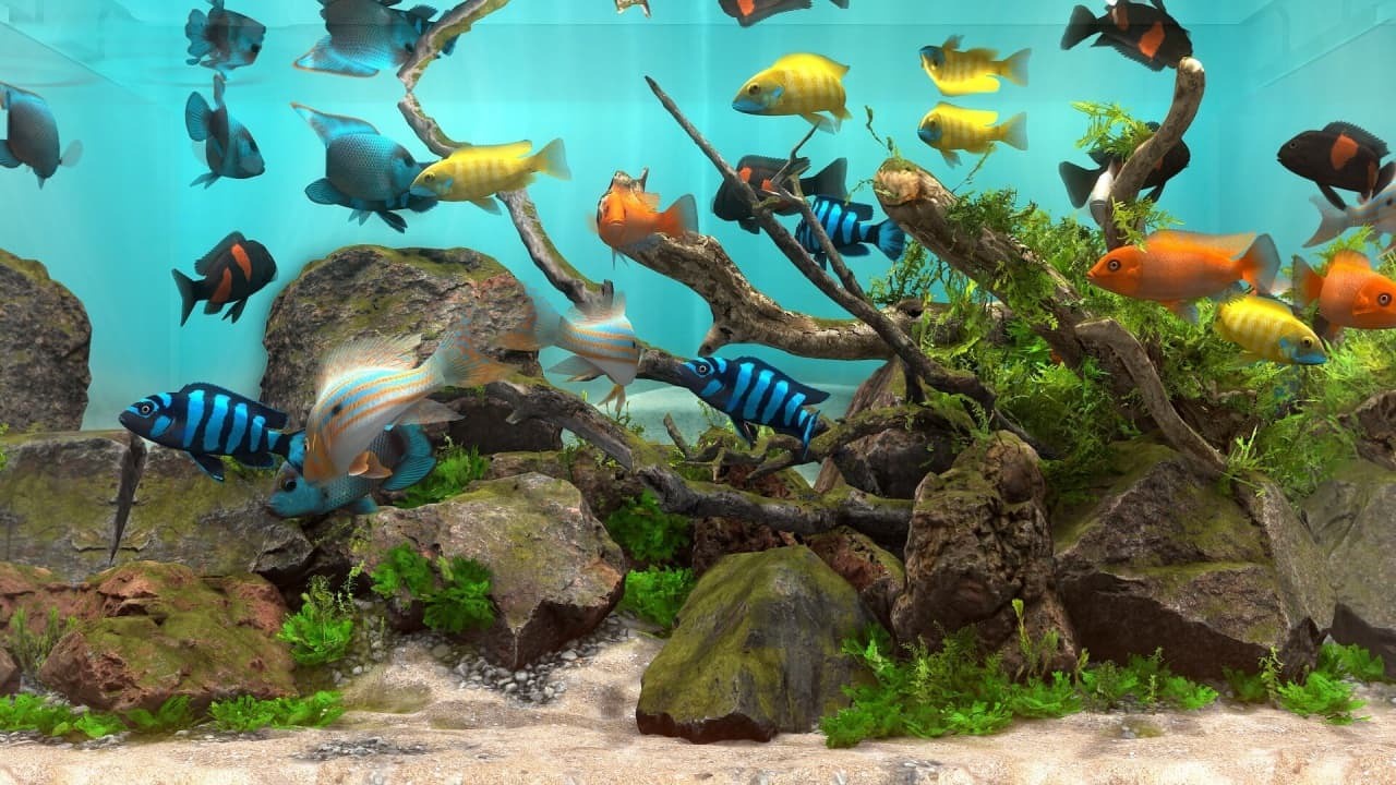 玻璃背后:水族箱模拟器