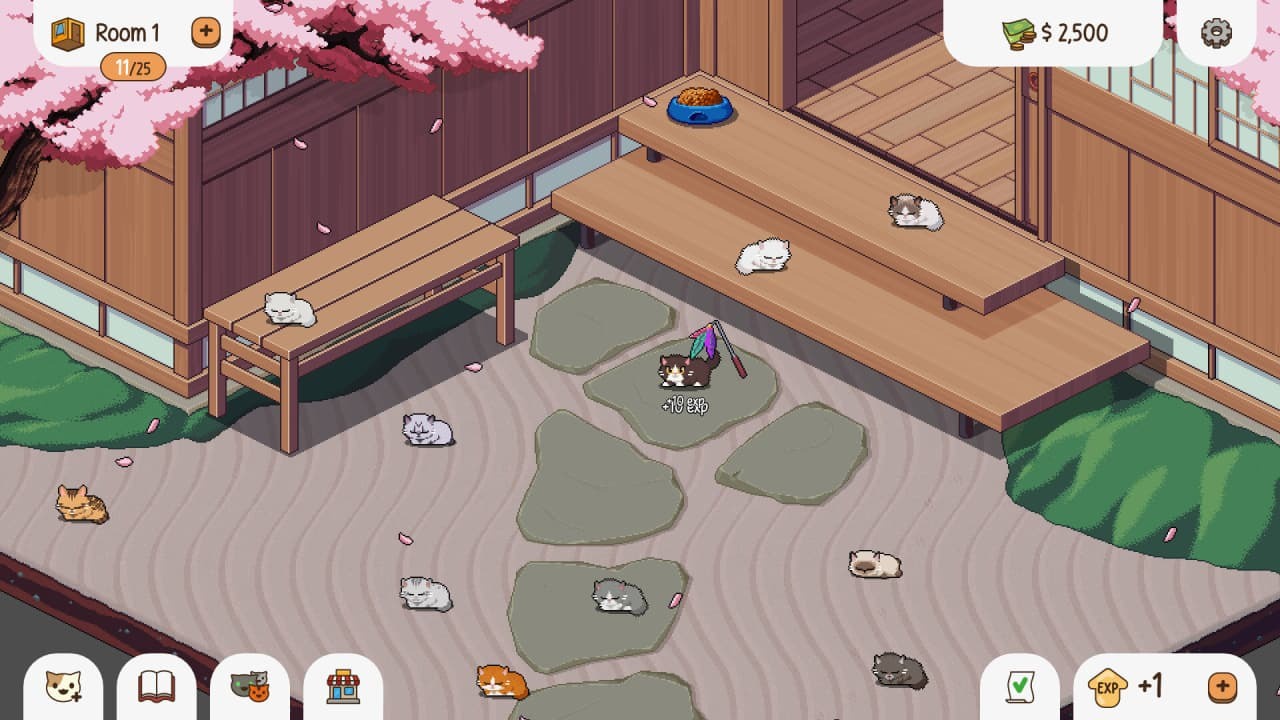 肥猫之家