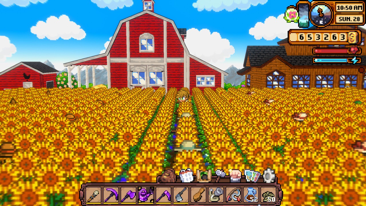 Cornucopia