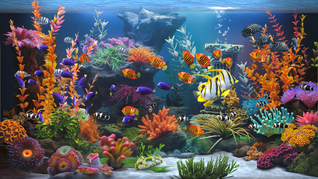 禅意水族馆