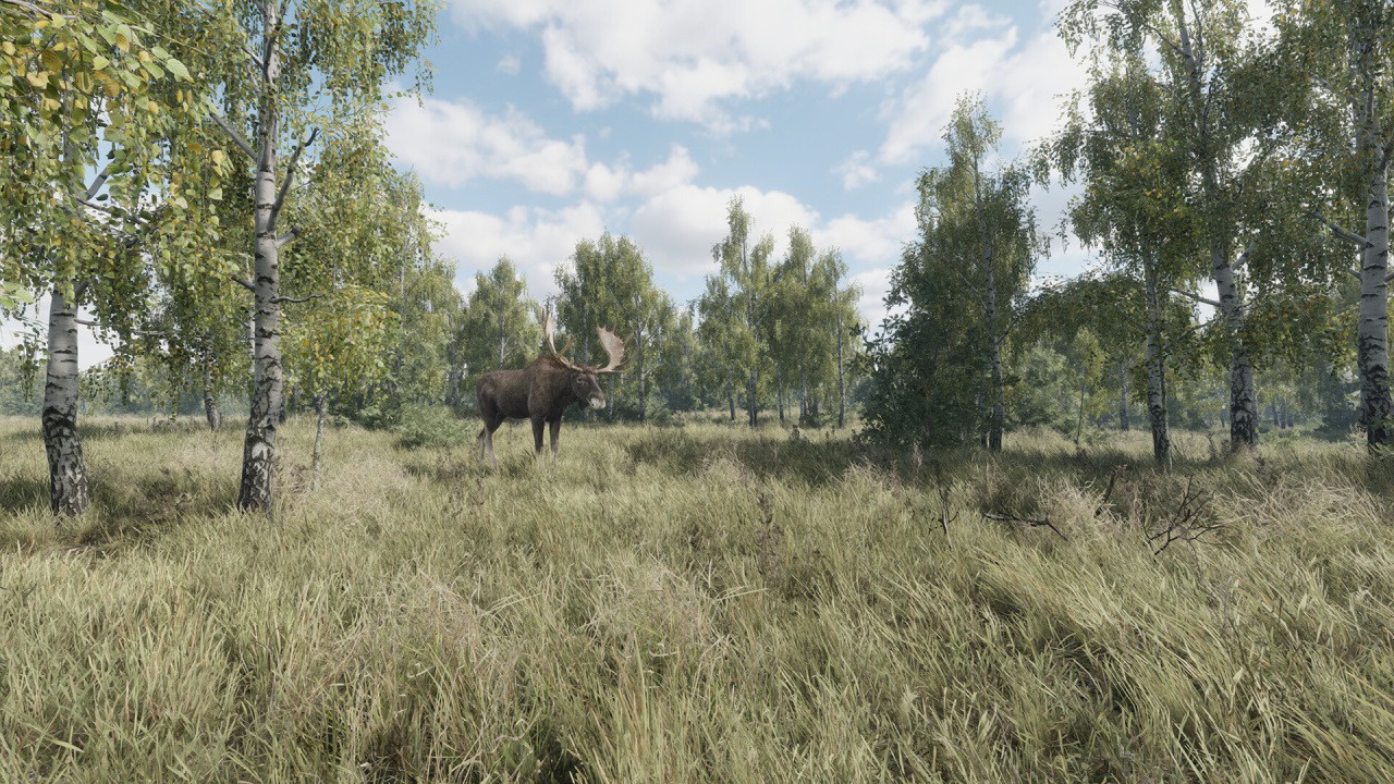 On the Hunt